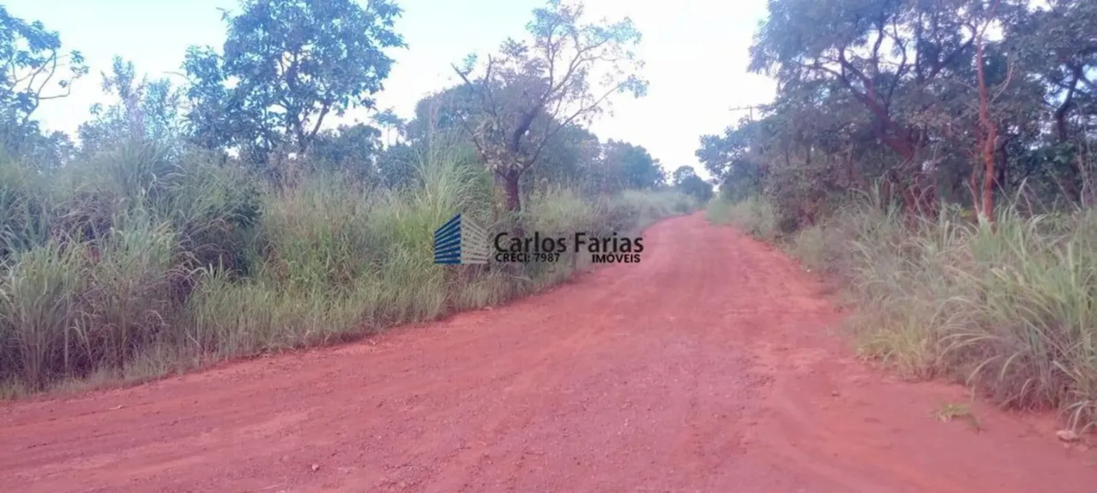 04de5902-60c3-4196-b398-ff20fee1a10a-7c9ff43d-17cd-459b-ae3d-f0b112d7eed5.webp