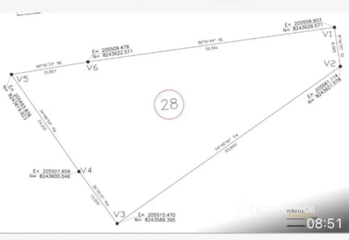 126b1cab-b7ec-47f8-9499-7e3e50ec6fcd-c876b5b4-bb2d-4057-92e3-37aa81b4f948.webp