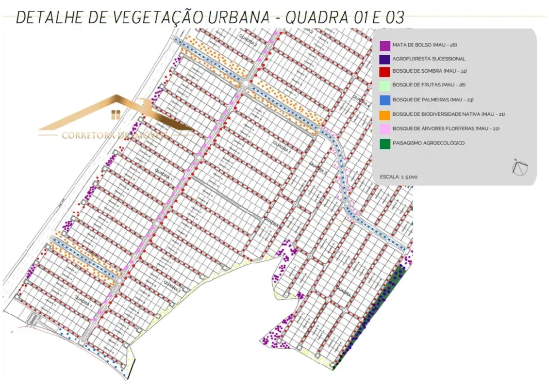 4d564080-110e-41c7-9c90-db9e0a5b3bdc-8c96cfdb-3c87-4503-97b6-0c63e7489dca.webp
