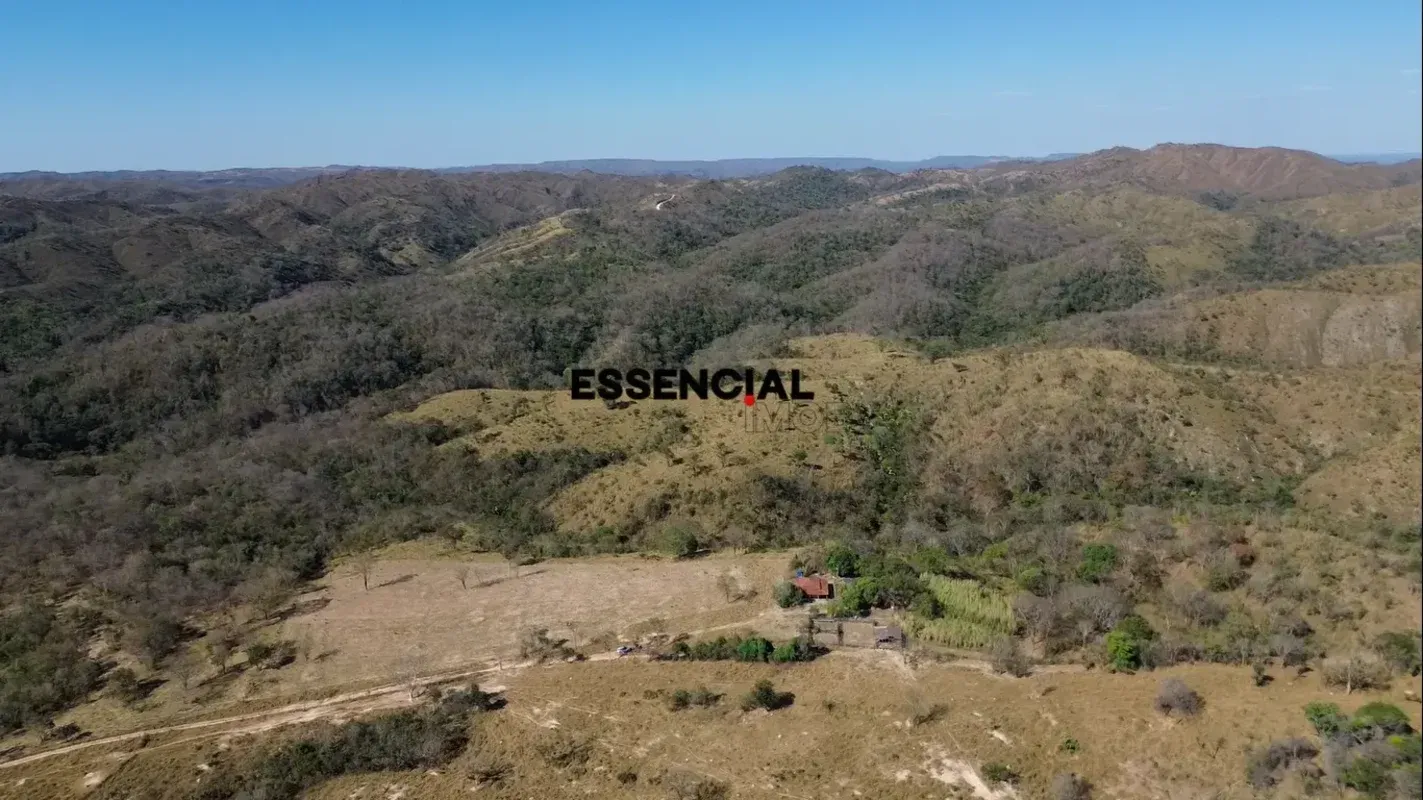 a2d84626-73db-4ec6-afca-3a8b9242f570-8b091e62-a1c3-4d49-97c9-825a8cff2c38.webp